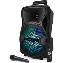 KOOL.STAR Enceinte fixe Enceinte KoolStar SPACER08